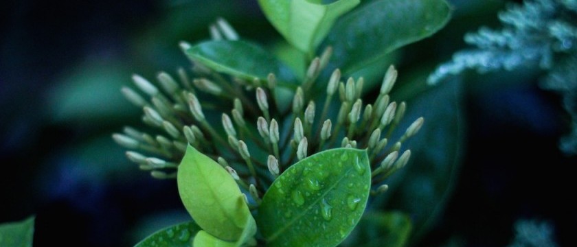 別亂來 病房是有監視器的