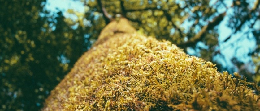 要不要改名字啊